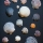 {how seashells are like humans... or is it the other way around?!}