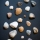 {how seashells are like humans... or is it the other way around?!}